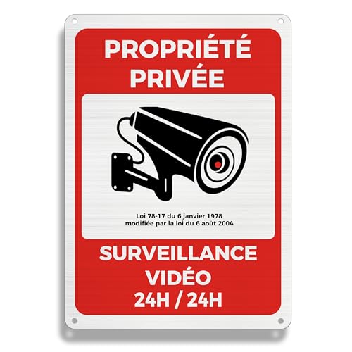 FloraVigo Panneau de Caméra de Propriété Privée, 25×18 cm, Alarme de Sécurité, Intérieur/Extérieur, en Aluminium (Vidéo Surveillance)