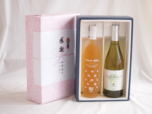 ӂ̑蕨{bNX Ìt[cCƍYCZbg(VC}XJbg100C Ì(R)750mlÌC(R`)500ml