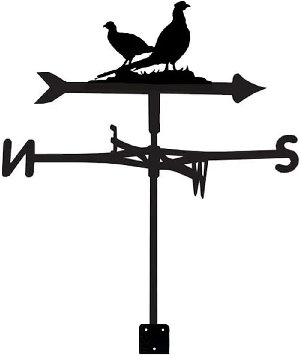 TAXXII Wind Vane Metal Weathervane Garden Decorative for Yard Direction Indicator with Pigeon Sculptures Measuring Tool Gift Home