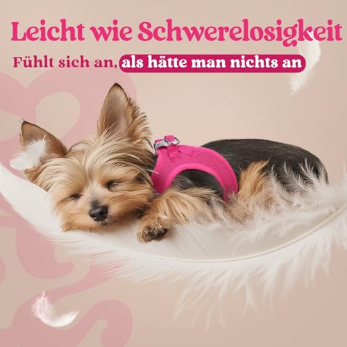 rabbitgoo Hundegeschirr Kleine Hunde, Step-in Welpengeschirr Weich Mesh für Spaziergänge, Atmungsaktives und Reflektierendes Brustgeschirr für Kleine und Mittelgroße Hunde, Rosarot, XS