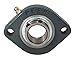 Peer Bearing FHFD204-20 MMG 2 Bolt Light Flange Unit, Narrow Inner Ring, Relubricable, Eccentric Locking Collar, Metric, Cast Iron, Single Lip Seals, 20 mm Bore