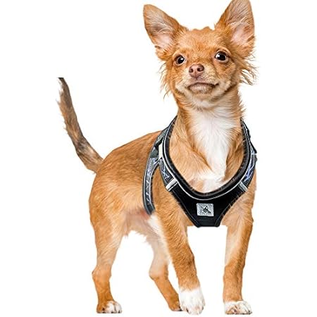 sturdy dog harness