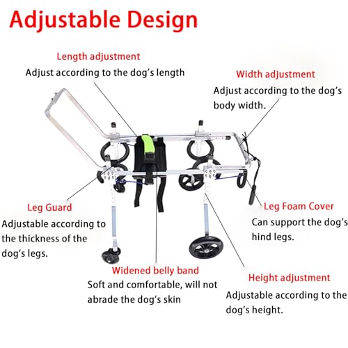 Silla de ruedas para perros: devuélvele la alegría de caminar a tu mascota 4
