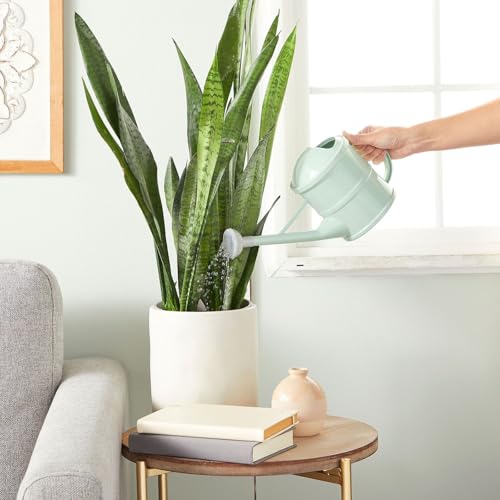 image for Farmlyn Creek Watering Can - Plant Waterer with Long Spout & Detachabl