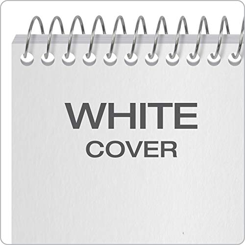 Earthwise By Ampad Reporter's Notebook, 4 X 8 Inches, 70 Sheets, Gregg Ruled, 12-Pack (25-280R) #TOP4