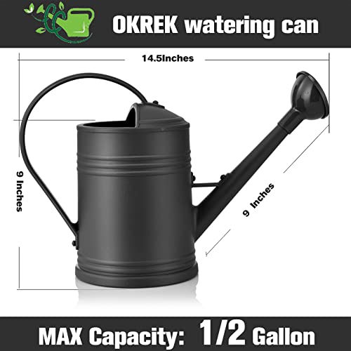 image for OKREK Watering Cans for House Plants, Small, Indoor/Outdoor Plants Gar