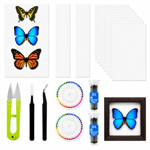 Image of Insect Pinning Kit for Beginners with Walnut Display Case, Butterfly & Bug Specimen Mounting Kit, EVA Foam Spreading Board, Insect Pins, Tweezers, Scissors & Wing Pressing Paper