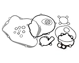 2EXTREME Motor Dichtungssatz komplett, kompatibel für RIEJU MRT, MRX, RR, SMX, Tango, RS 1, RS2, Spike X, Pro 50cc