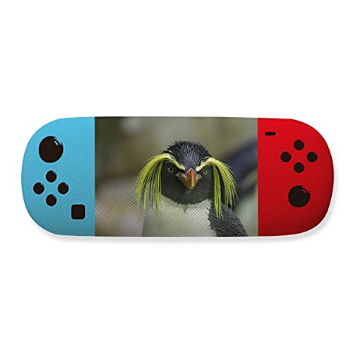 Étui de rangement pour lunettes pingouin cadeau idéal passionnés de nature