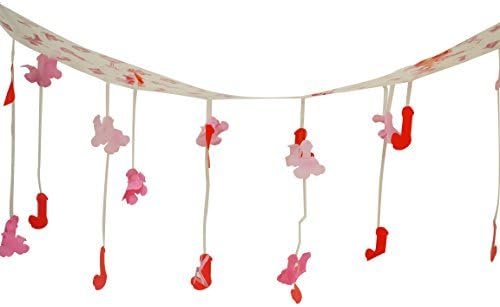 Bachelorette Party Decorations Includes Garland and Ceiling Hangers-Perfect Decor for a Naughty Bachelorette Party!!!