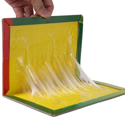 Sticky Book Trap Large Size Used in Kitchen Design May Different (5)