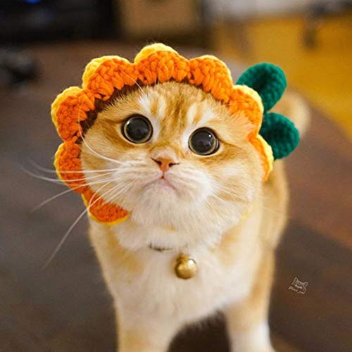 Hionre Pet Costume,Cute Cartoon Handmade Dog Cat Hat Animal Party Cap Pet Decor Accessory Sun Flower Brown S #TOP1