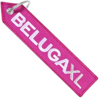 Amazon.com: Airbus BelugaXL Beluga XL Transport Freighter Aerospace ...