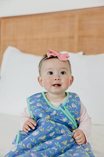 Image of Copper Pearl Baby Sleep Sack, Birdie - Wearable Blanket for 18-24 Month, Sleeveless Sleep Sack for Baby Boy or Girl