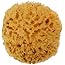 Natural Sea Wool Sponge 4-5" by Spa Destinations ® Amazing Natural Renewable Resource"Creating The in Perfect Bath and Shower