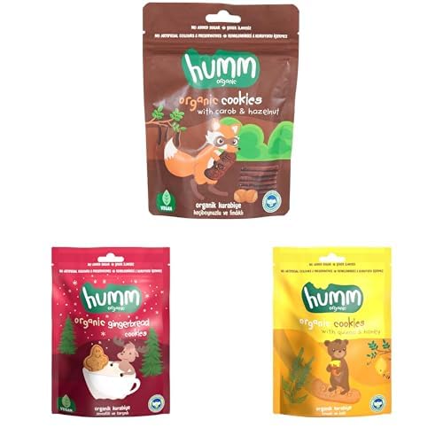 Organik Vegan Tatlı Kurabiye Atıştırmalık Paketi - 6 adet (3 çeşit)