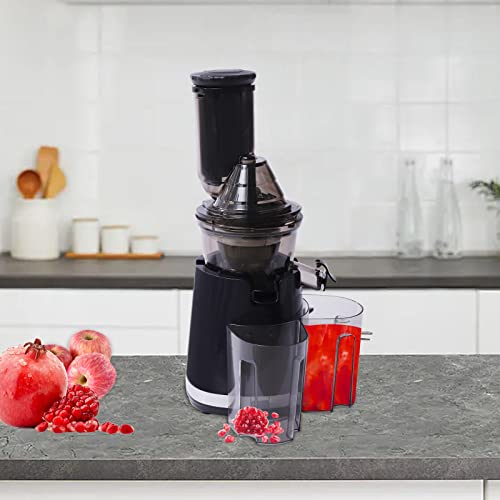 45RPM Dual-Slot Slow Juicer Slow Masticating Juicer Cold Press Juicer for Nutrient Fruits 250W Quiet for Kitchen