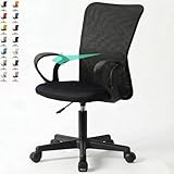 BENARIY オフィスチェア メッシュ デスクチェア パソコンチェア コンパクト ランバーサポート 昇降機能 キャスター付き 疲れにくい 事務椅子 在宅勤務 学習 ブラック WF309438(BK/BK)