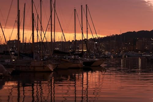 Canon RF24-105mm F4-7.1 IS STM (4111C002)