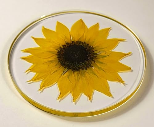 Real Girasol Dorado en Resina Clara de Lucita 3.9" miniatura 7