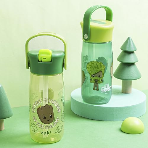 Image of Zak Designs Marvel Groot 18oz Water Bottle, Leak-Proof, Recycled, 2-Pack