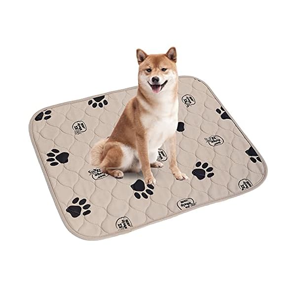 EZwhelp Dog Mat Pee Pad – Puppy Training Stuff – Value 2-Pack – (Size: 19.5″ x 24.5″) EZwhelp Dog Mat Pee Pad – Puppy Training Stuff – Value 2-Pack – (Size: 19.5″ x 24.5″)