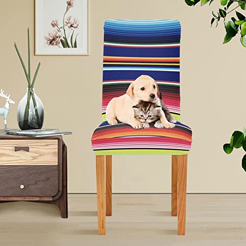 Xigua 4 Pack Dining Chair Covers Mexican Serape Colorful Stripes Stretchable Table Seat Cover Chairs Slipcovers Protector For Cinco De Mayo Fiesta Party Hotel Restaurant Home Decor #TOP4