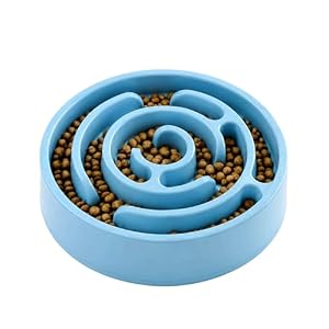 Woowoowoof Slow Feeder Dog Bowl | Small Plastic Puzzle Feeder Improves Digestion 10x Slower Eating| Anti-Gulping Non-Slip Base, Helps Prevent Bloating |0.45l Capacity, 8.3in X 1.49in (Turquoise)