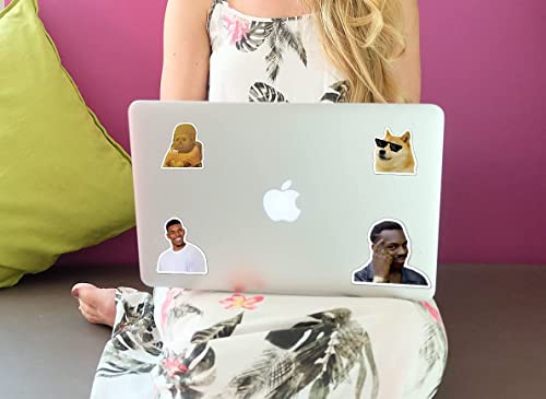 (106 Pcs) Funny Meme Vinyl Stickers Pack, Vine Stickers for Laptop, iPhone, Water Bottles, Computer, and Hydro Flask, DIY Decor for Bumper Wall