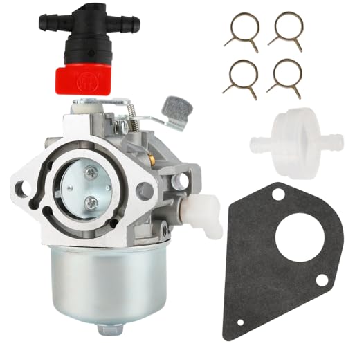 Carburateur 495782 pour réparer les tondeuses Briggs & Stratton 494894