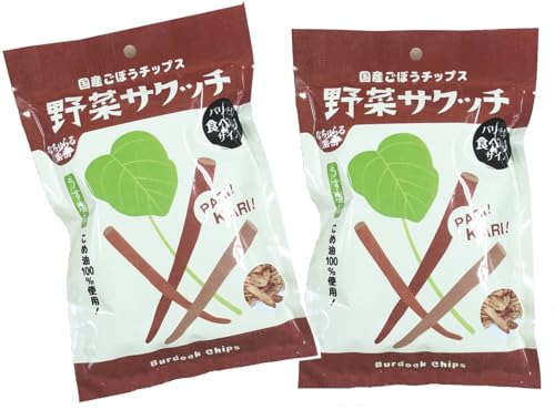 無添加 野菜サクッチ 国産ごぼうチップス19g×2パック ■宅配便■ 国産ごぼう使用 ごぼうそのものの風味 パリパリとした食感 <うす塩味>