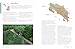 The World Atlas of Coffee 3rd edition: From beans to brewing – coffees explored, explained and enjoyed