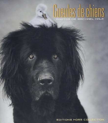 Gueules de chien