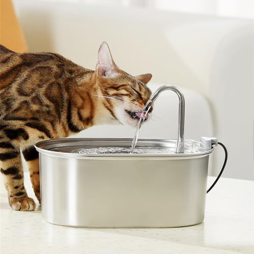 Fuente automática para beber de gatos y perros 3.38 L miniatura 5
