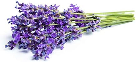 Miniatura 4 de Semillas de lavanda inglesas "Vera" para plantar, más de 1000 semillas por paquete, semillas de jardín de Isla (semillas de jardín de Isla),