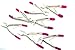 German Premium Pedo Extracting Forceps 7pc Kelin Set Dental Instruments Children (CYNAMED)