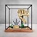 Produktbild Acryl-Vitrine für Lego 76964 Tyrannosaurus rex Totenkopf-Modell, staubdichte, transparente Sammlungsvitrine (nur Displaybox) (Holzmaserung)