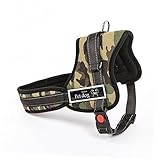 COLLBATH Arné para Perros Chaleco De Malla Transpirable En Camuflaje Arné Ajustable para Paseos y Entrenamiento Ideal para Perros Tamaño
