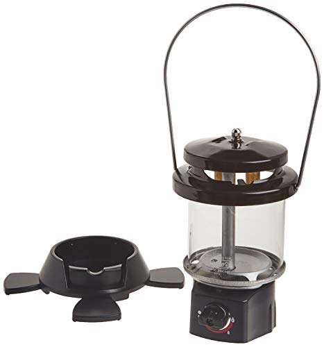 Coleman Two-Mantle Propane Lantern With Case #TOP3