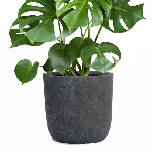 Pflanzwerk® Jardinera Fibra de Vidrio Cup Ø27cm Antracita de Lava *Maceta a Prueba de heladas* *Protección UV* *Calidad Europeo*