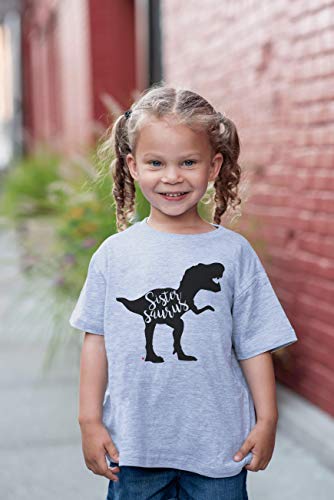 7 ate 9 Apparel Girls Dinosaur Sistersaurus Sister Dino Tee2