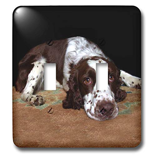 3dRose Dogs English Springer Spaniel double toggle switch