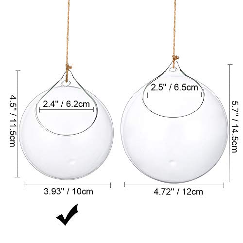 Plantas Colgantes de Aire 4 Piezas Portavelas de 4 Inches Cristal Terrario Portavelas Contenedores de Plantas de Vidrio para el Diseño de Bricolaje de Jardín de Bodas en Casa - imagen 5