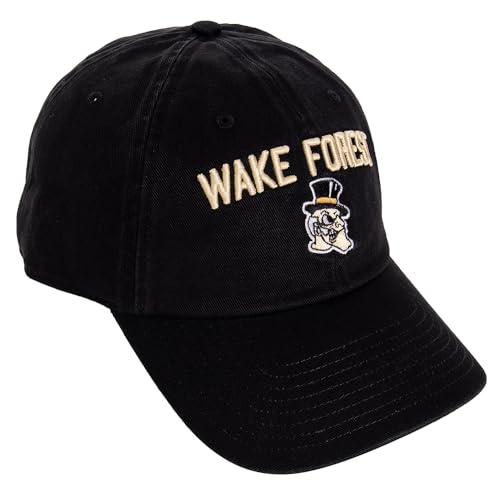 Gorra bordada Desert Cactus Wake Forest ajustable negra miniatura 1