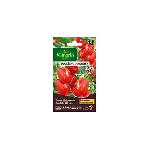 Vilmorin - Tomate Aligote HF1