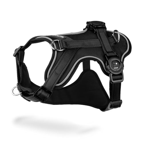 MyFamily Pettorina Cane in Poliestere Nero, Made in Italy, Dati A...