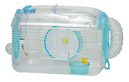 BIRDIE ルックルックフォーチュン ゴールデン ブルー