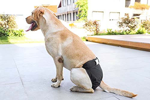 BePetMia Waschbare Windeln für Hunde, Wiederverwendbare Hundewindeln, Umweltfreundliche Damenbinden Höschen, Hygiene-Unterhose für Hunde in Hitze (L: 48-65cm, Schwarz)