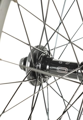 Roue avant BMX Colony Pintour 18 noire jante double paroi axe male