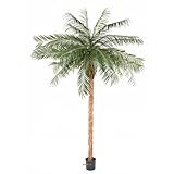  Artificielles.com - Palmera Phoenix Artificial Acabado Lujo H 210 cm muy Hermosa cabeza - dimhaut: H 210 cm - Color: Verde